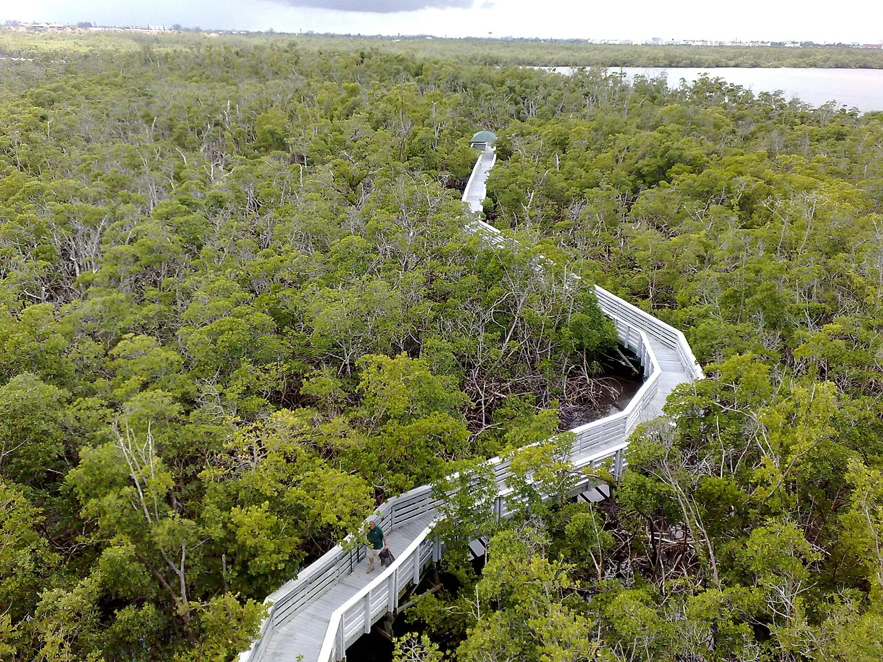 Anne Kolb Nature Center, Hollywood, Florida, United States