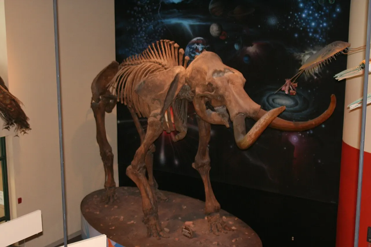 Burpee Museum of Natural History, Rockford, Illinois, United States