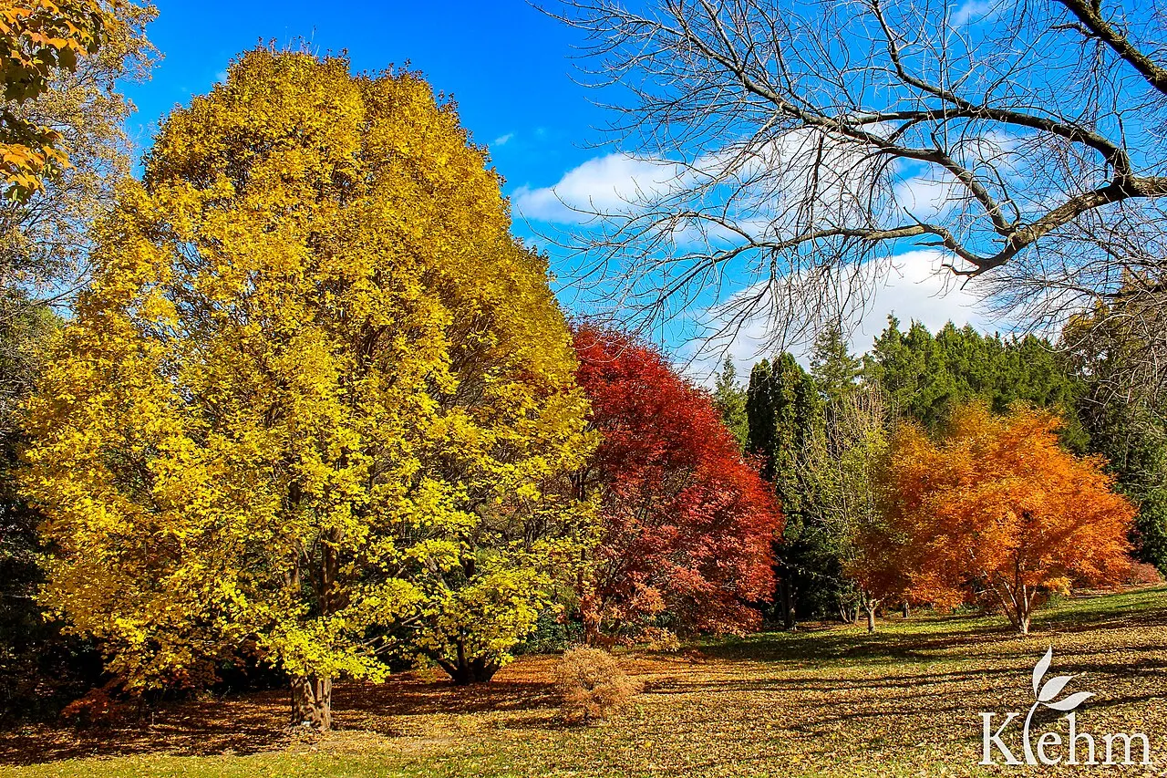 Klehm Arboretum, Rockford, Illinois, United States