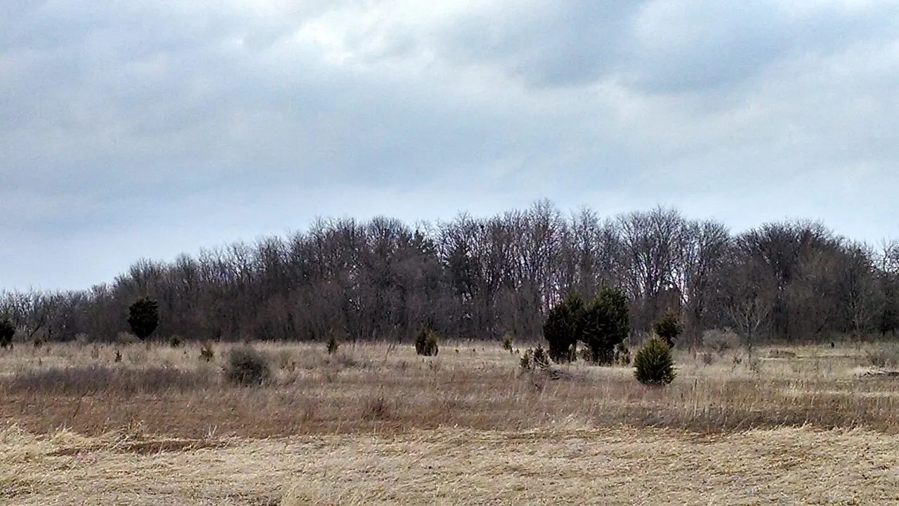 Springbrook Prairie, Naperville, Illinois, United States