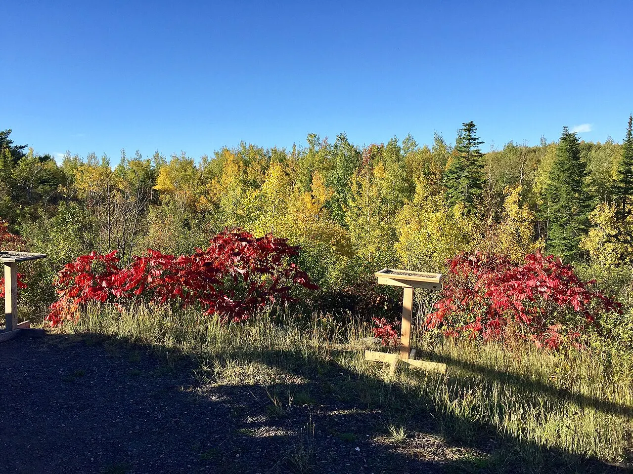 Hawk Ridge, Duluth, Minnesota, United States