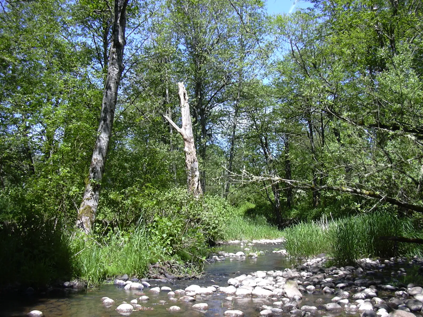 Gresham, Oregon, United States