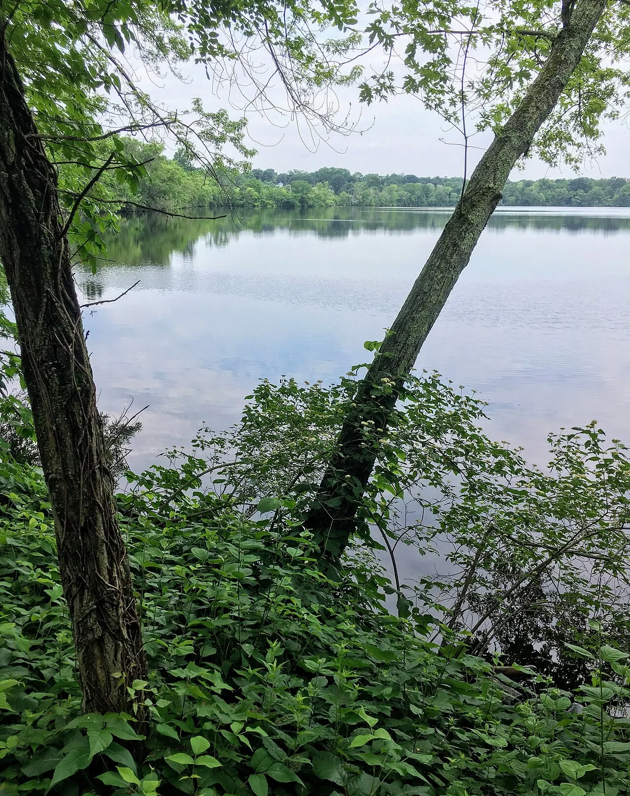 Fresh Pond Reservation, Cambridge, Massachusetts, United States