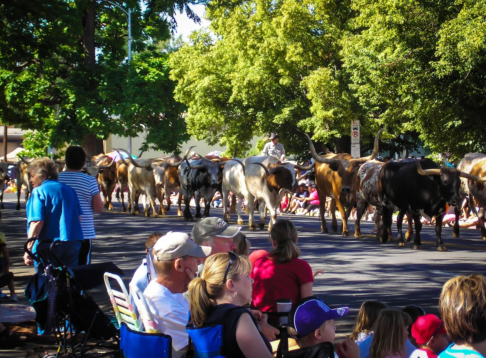Greeley Stampede, Greeley, Colorado, United States