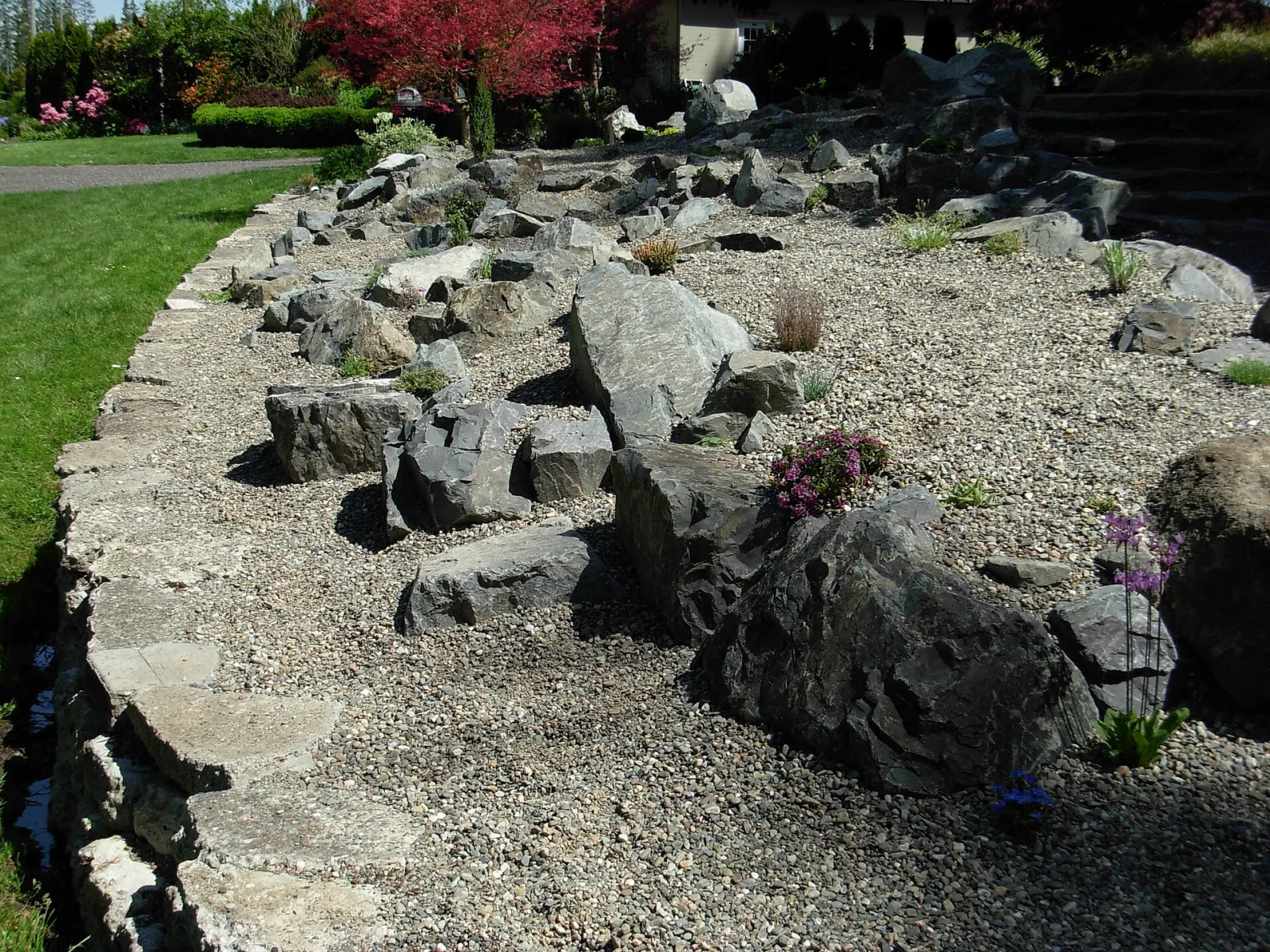 Evergreen Arboretum and Gardens, Everett, Washington, United States
