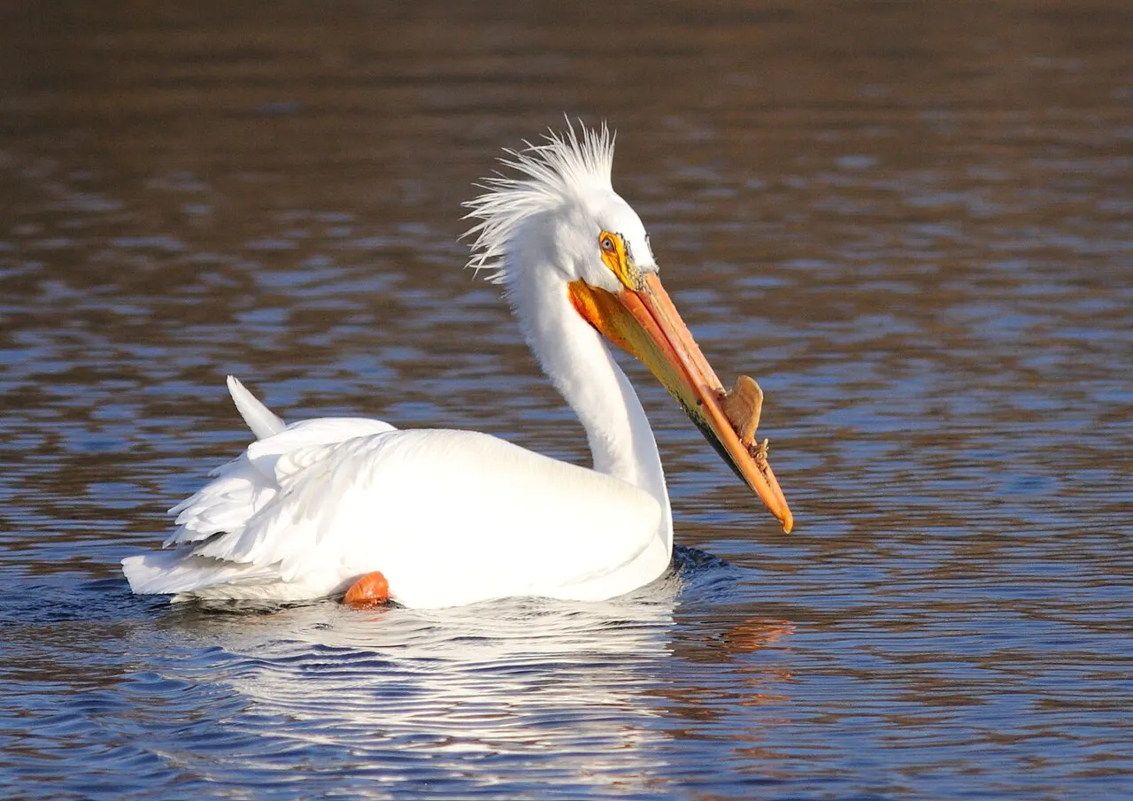 Bay Beach Wildlife Sanctuary, Green Bay, Wisconsin, United States