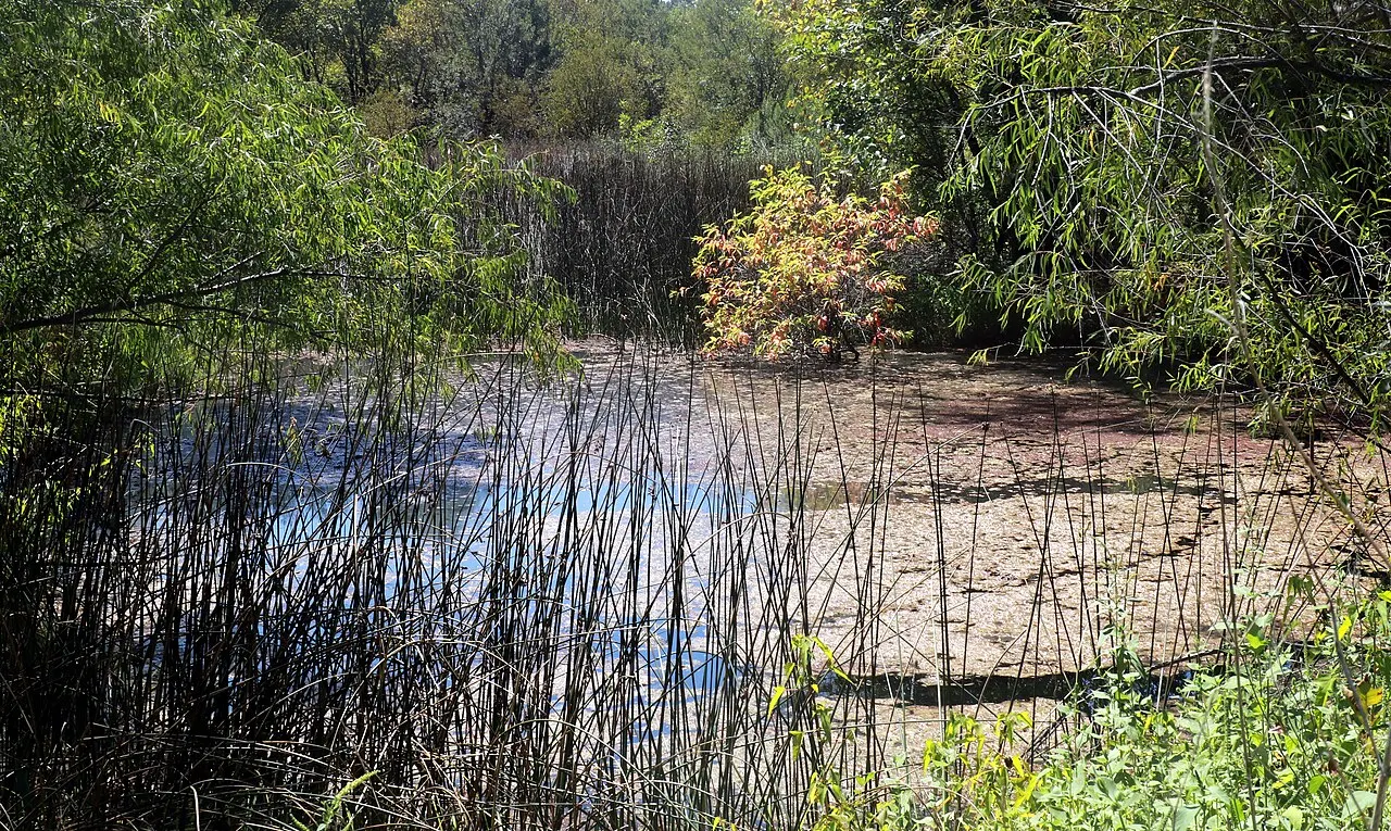 Lewisville Lake Environmental Learning Area, Lewisville, Texas, United States