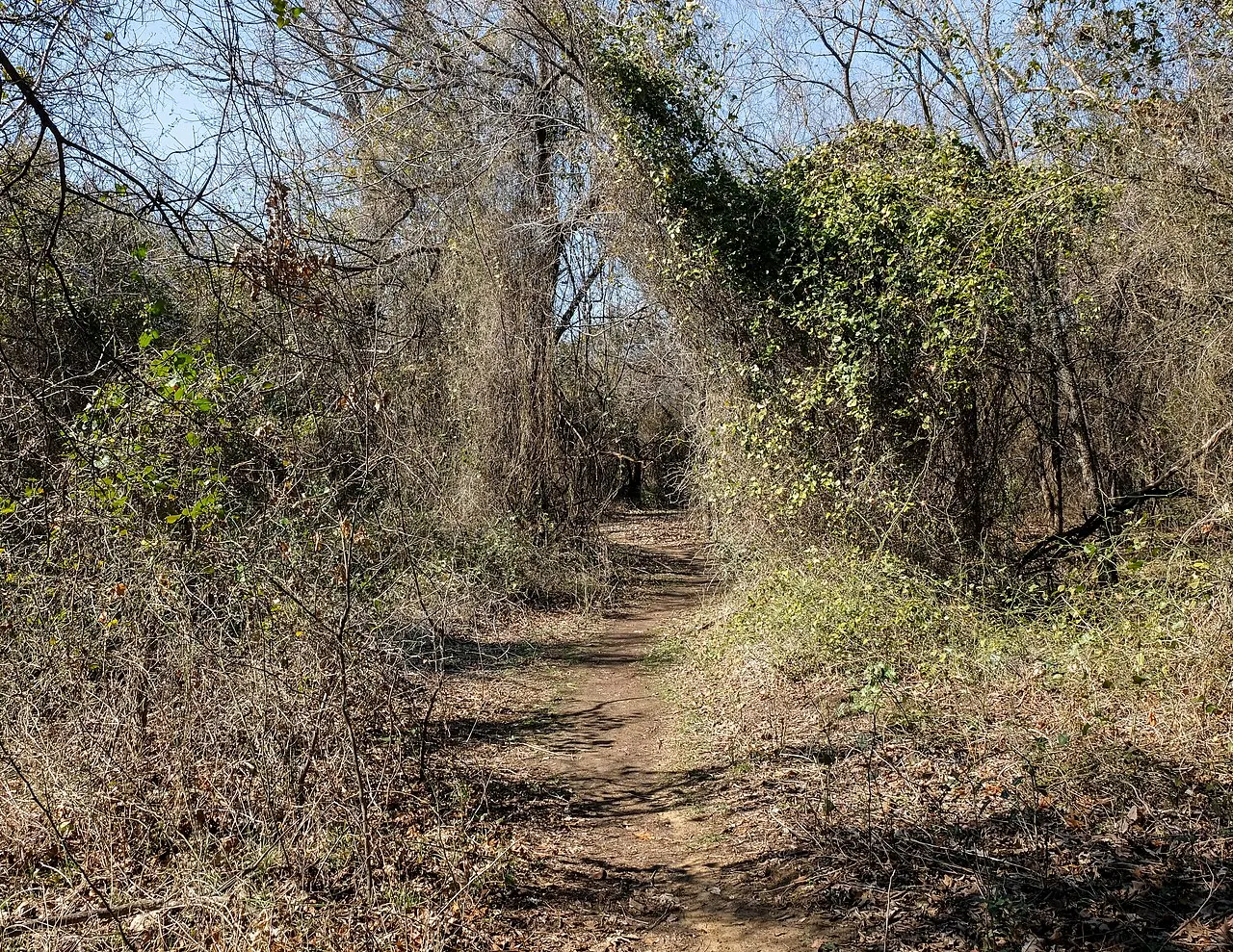 Timber Creek Trail, Lewisville, Texas, United States