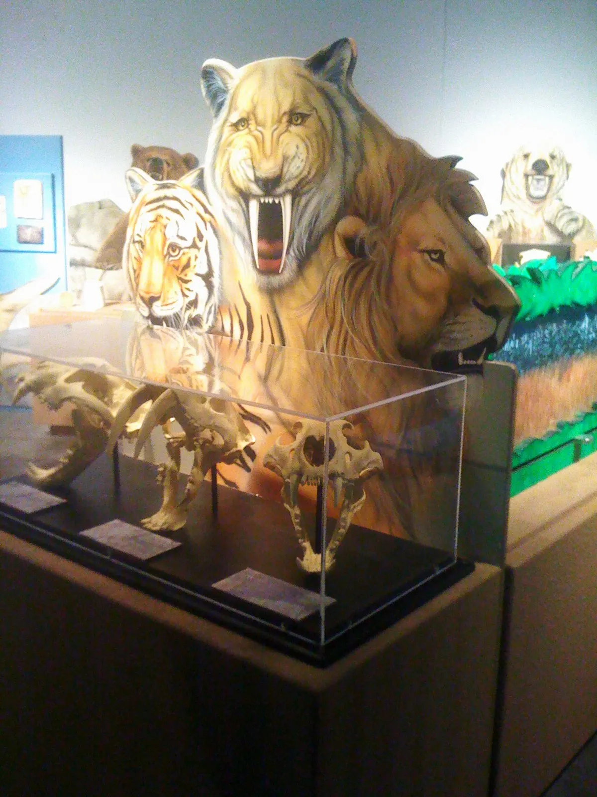 Discovery Science Place, Tyler, Texas, United States