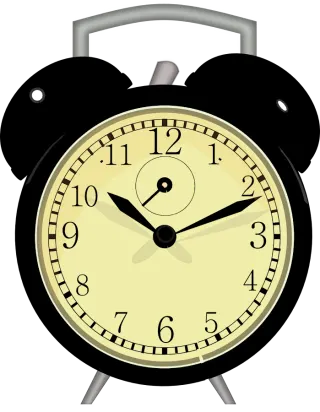Bozeman Clock Repair