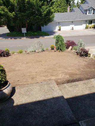 Simple Lawns Landscape Design