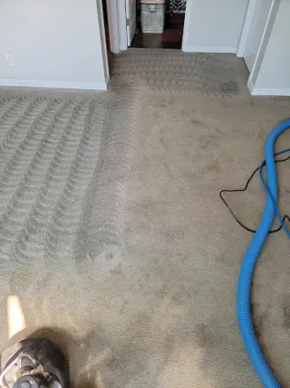 Pure Clean
