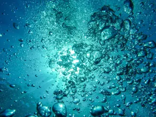 Water Guys