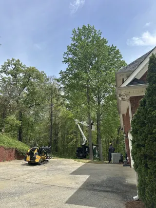 Gray's Tree Services