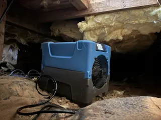 White Glove Water Damage Restoration