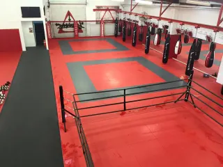 Alpha
