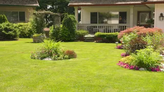 Empire Lawn Care