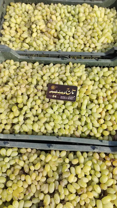 Sabzi Mandi Lodhran in Lodhrān, Punjab