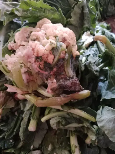 Sabzi Mandi in Sahiwal, Punjab