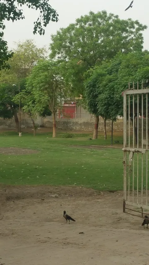Old Sabzi Mandi Park in Khanewal, Punjab