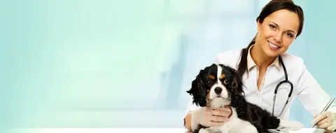 PET-VET ANIMAL CARE HOSPITAL in Lahore, Punjab