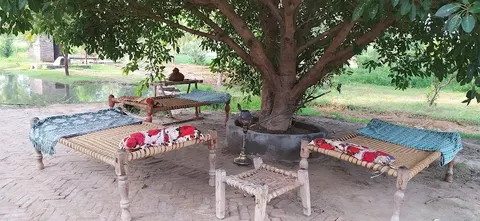 Jigar Chinese Restaurant in Jhang, Punjab