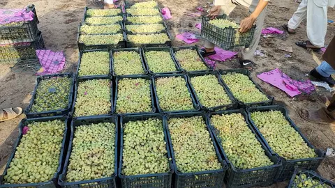 Sabzi Mandi Lodhran in Lodhrān, Punjab