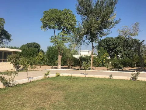 Central Cotton Research Institute Multan in Multan, Punjab