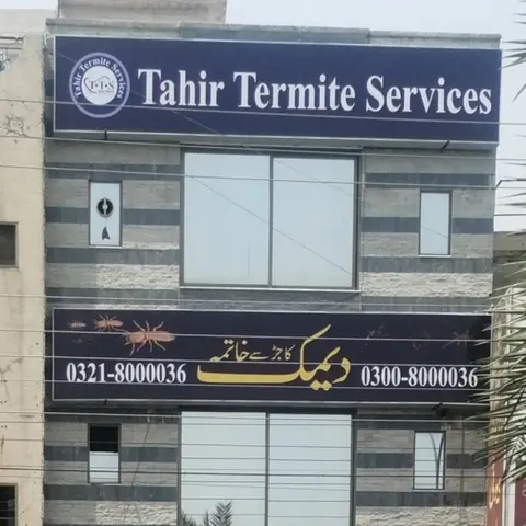 Tahir Termite Services in Lahore, Punjab