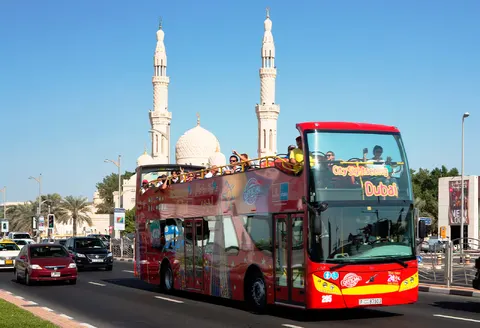 Hop On Hop off Bus Tours photo 2