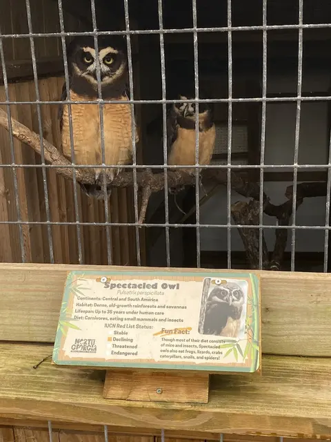 North Georgia Wildlife Park and Safari in Cleveland, GA