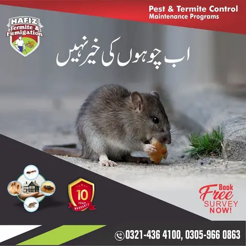 Hafiz Pest Control in Lahore, Punjab