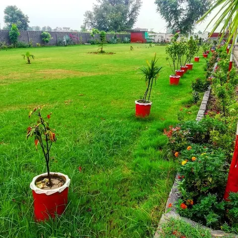 AL-SHIFA INSTITUTE OF HEALTH SCIENCES NAROWAL in Narowal, Punjab