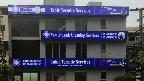 Tahir Termite Services in Lahore, Punjab