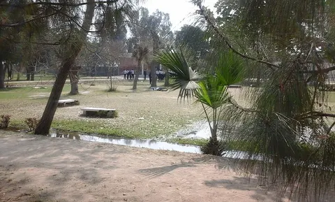 Govt Degree College Bahawalnagar in Bahawalnagar, Punjab