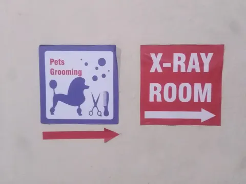 Asim Pets Clinic in Lahore, Punjab