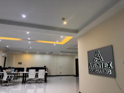 AVENTEX CONSULTING