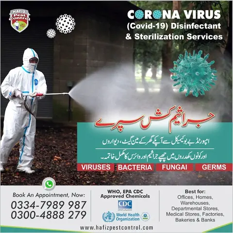 Hafiz Pest Control in Lahore, Punjab