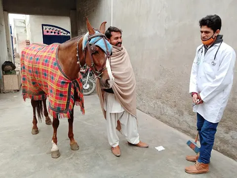 CALLVET ANIMALS & BIRDS HOSPITAL (CEODrAbdulWaheedFatim) in Lahore, Punjab