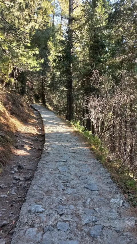 Lalazar Park in Nathia Gali, Khyber Pakhtunkhwa