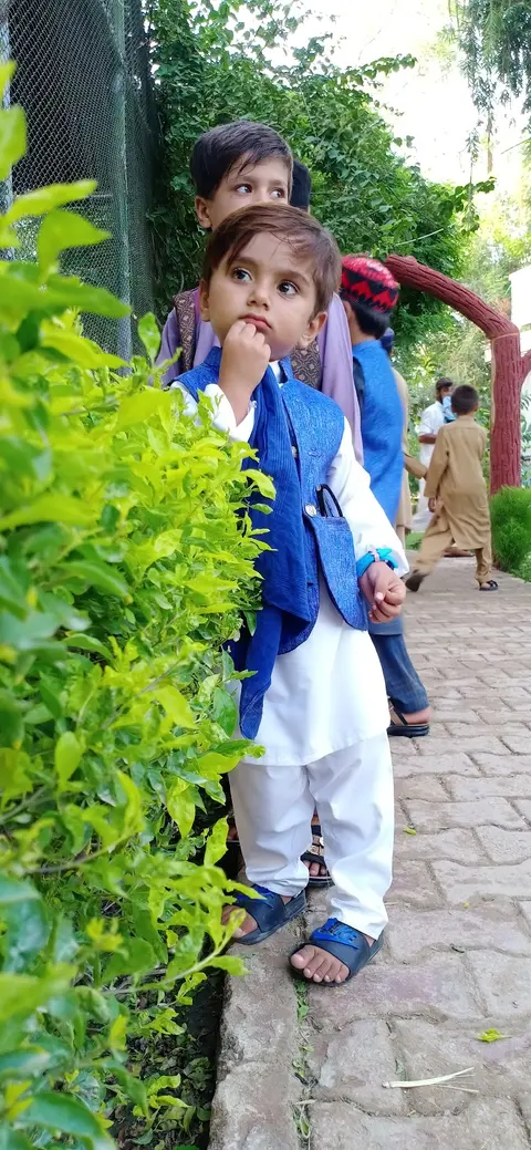 Wildlife Park D.I.Khan جنگلی حیات پارک in Dera Ismail Khan, Khyber Pakhtunkhwa