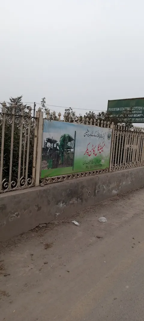 Central Cotton Research Institute Multan in Multan, Punjab