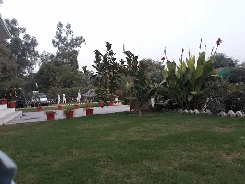 Wildlife Park D.I.Khan جنگلی حیات پارک in Dera Ismail Khan, Khyber Pakhtunkhwa