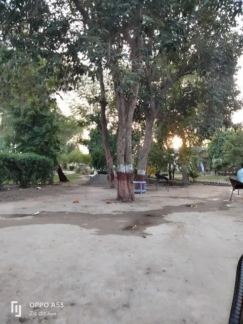 IUB Old Campus BWN in Bahawalnagar, Punjab