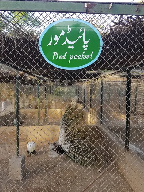 Wild Life Breeding Center Gatwala in Faisalabad, Punjab
