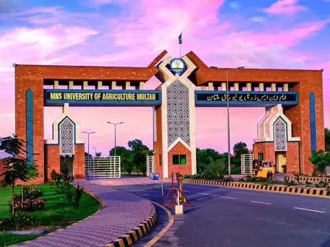 Muhammad Nawaz Shareef University of Agriculture,Multan in Multan, Punjab