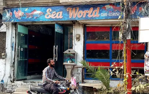 Sea World ( Aquarium & Fish Shop ) in Sialkot, Punjab
