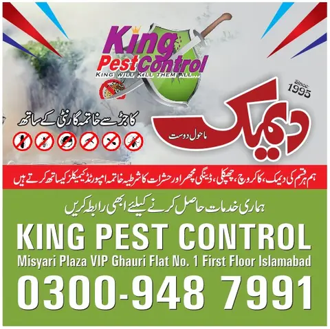 King Pest Control | Termite Treatment Services | Termite Control Lahore | Pest Control in Lahore in Lahore, Punjab