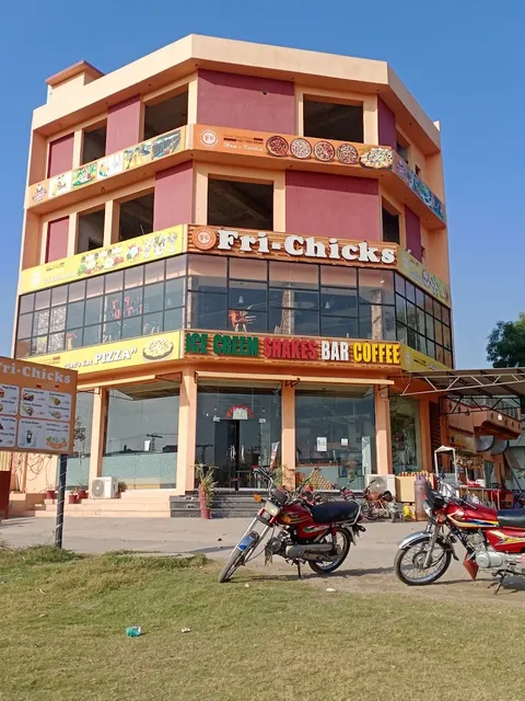 Fri Chicks in Jhang, Punjab