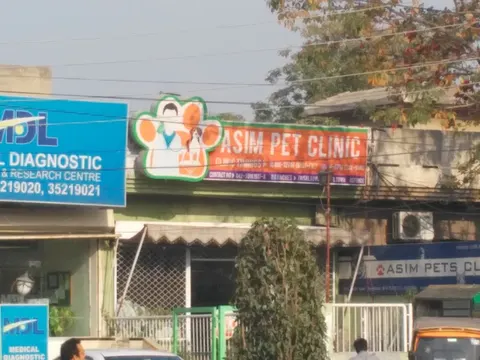 Asim Pets Clinic in Lahore, Punjab